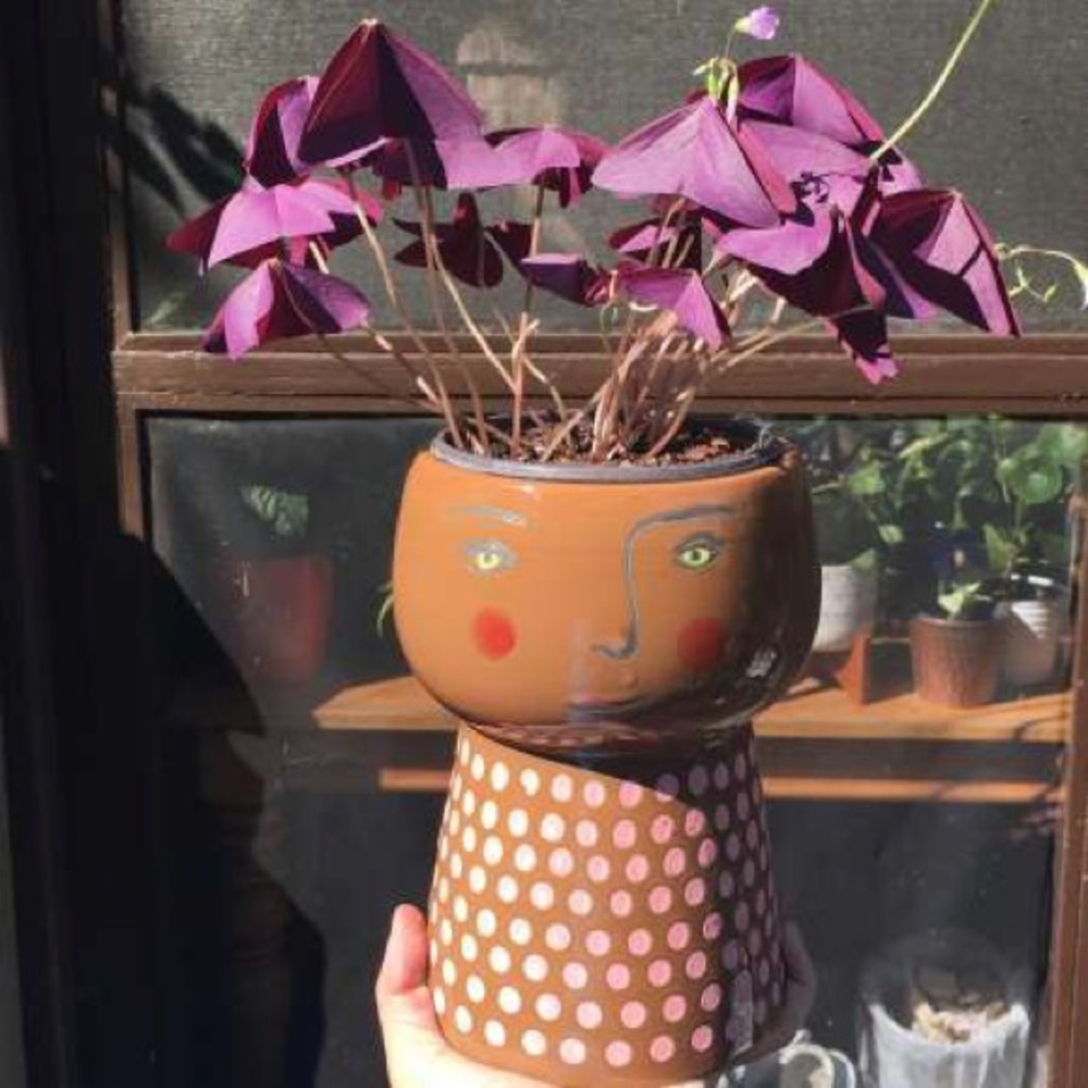 Opalhouse Stoneware Family Planter Pot - Picture 1 of 16